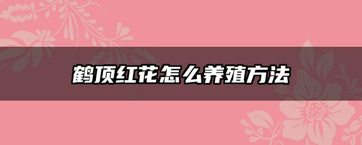 鹤顶红花怎么养殖方法