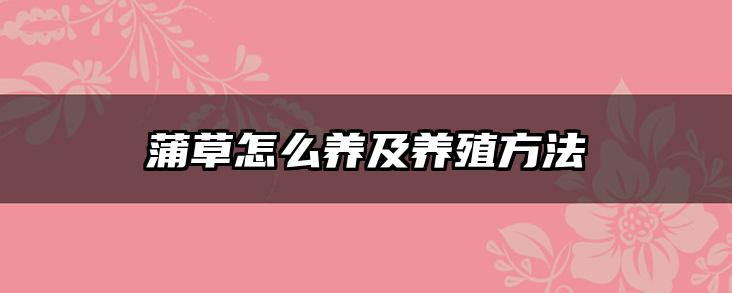 蒲草怎么养及养殖方法