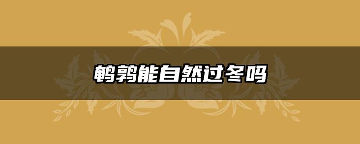 鹌鹑能自然过冬吗