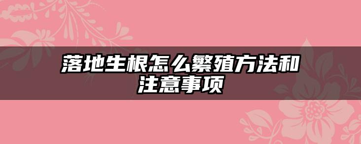 落地生根怎么繁殖方法和注意事项