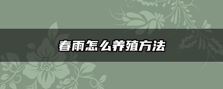 春雨怎么养殖方法