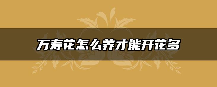 万寿花怎么养才能开花多