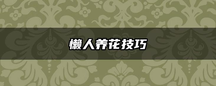 懒人养花技巧
