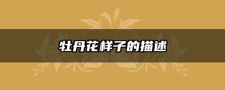 牡丹花样子的描述