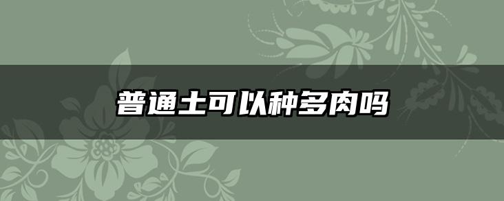 普通土可以种多肉吗