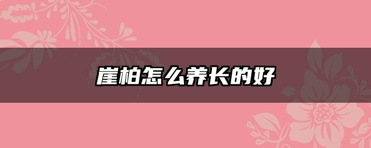 崖柏怎么养长的好