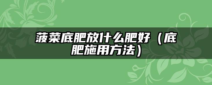 菠菜底肥放什么肥好(底肥施用方法)