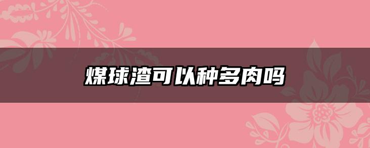 煤球渣可以种多肉吗