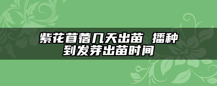 紫花苜蓿几天出苗 播种到发芽出苗时间