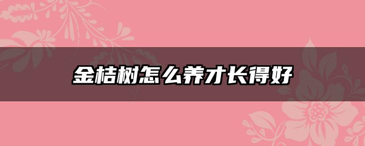 金桔树怎么养才长得好