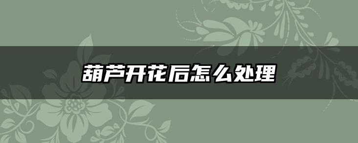 葫芦开花后怎么处理