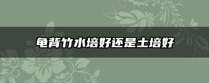 龟背竹水培好还是土培好