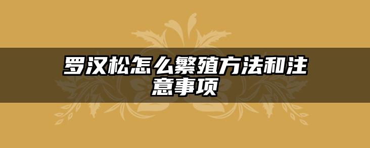 罗汉松怎么繁殖方法和注意事项
