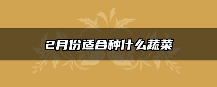 2月份适合种什么蔬菜
