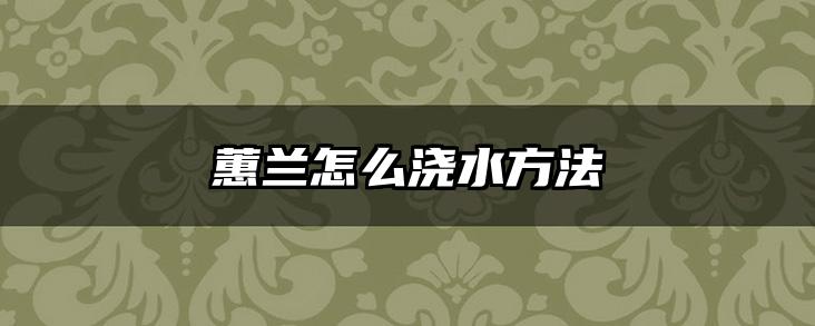 蕙兰怎么浇水方法