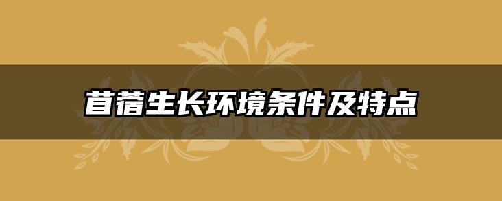 苜蓿生长环境条件及特点