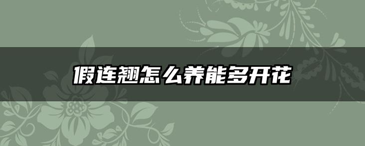 假连翘怎么养能多开花