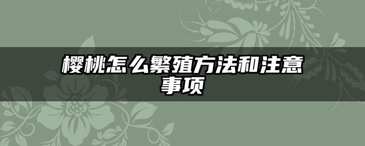 樱桃怎么繁殖方法和注意事项