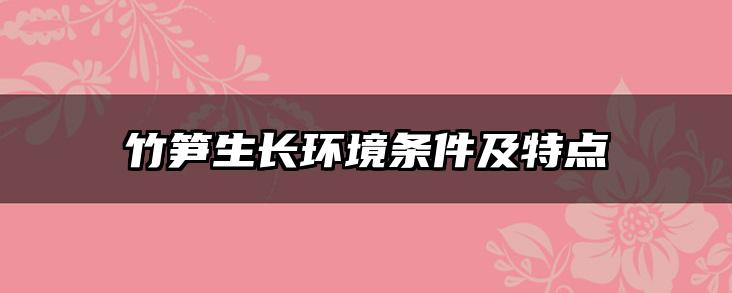 竹笋生长环境条件及特点