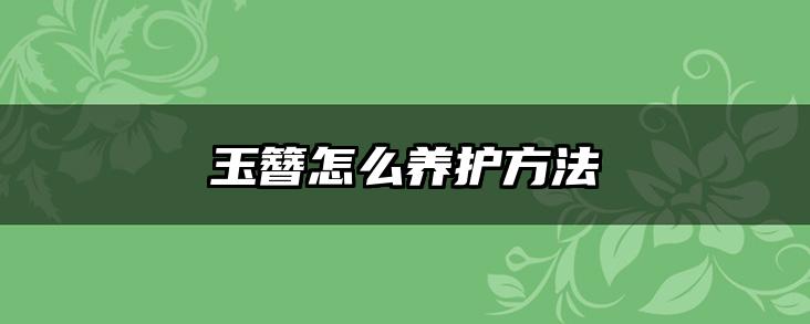 玉簪怎么养护方法