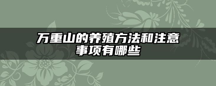 万重山的养殖方法和注意事项有哪些