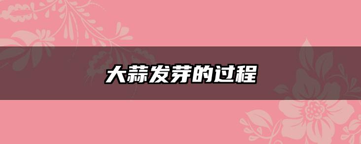 大蒜发芽的过程