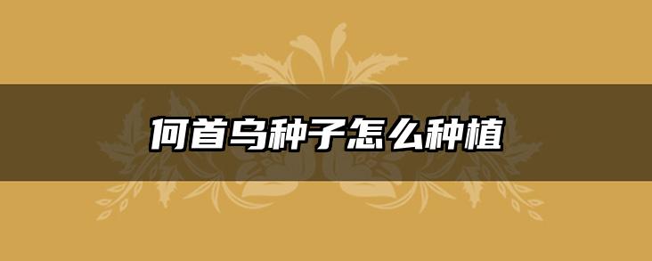 何首乌种子怎么种植