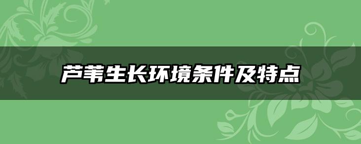 芦苇生长环境条件及特点