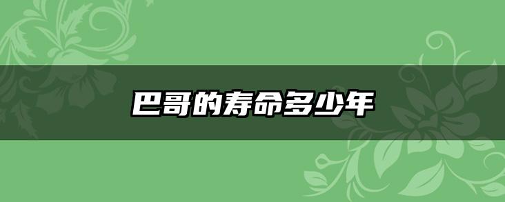 巴哥的寿命多少年