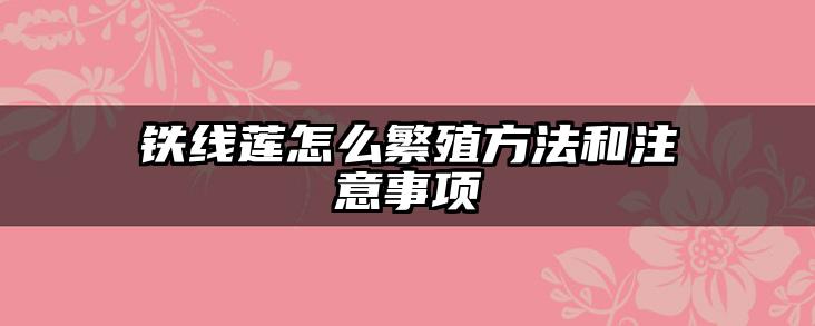 铁线莲怎么繁殖方法和注意事项