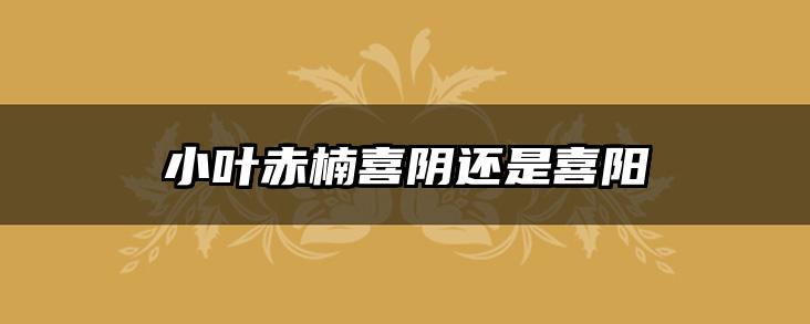 小叶赤楠喜阴还是喜阳