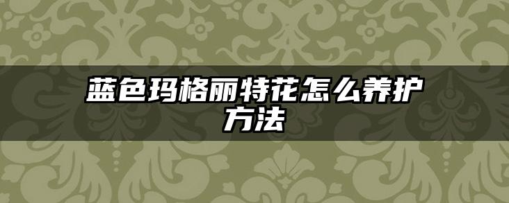 蓝色玛格丽特花怎么养护方法