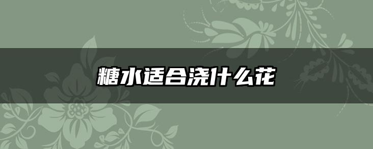 糖水适合浇什么花