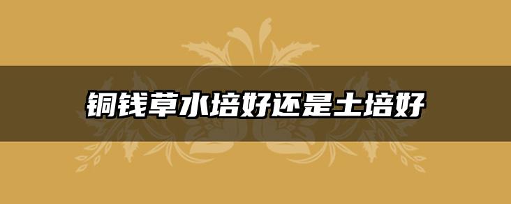 铜钱草水培好还是土培好