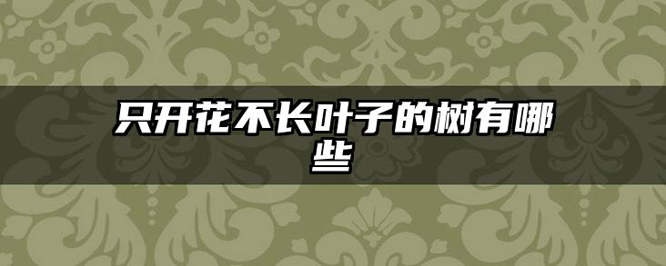 只开花不长叶子的树有哪些