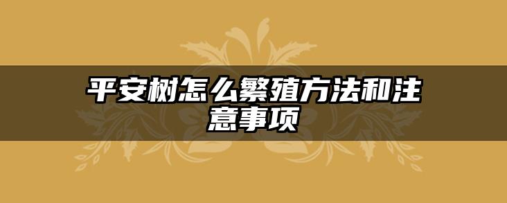平安树怎么繁殖方法和注意事项