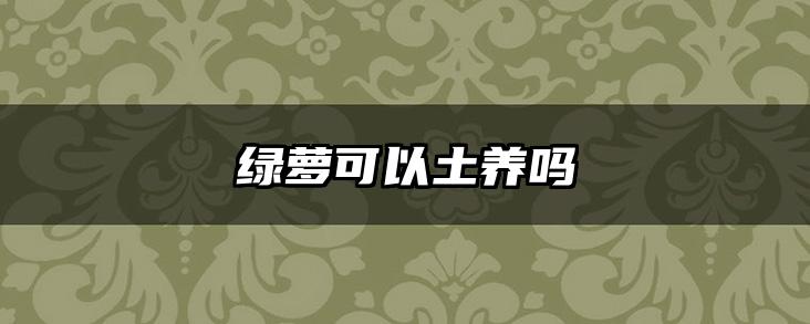 绿萝可以土养吗