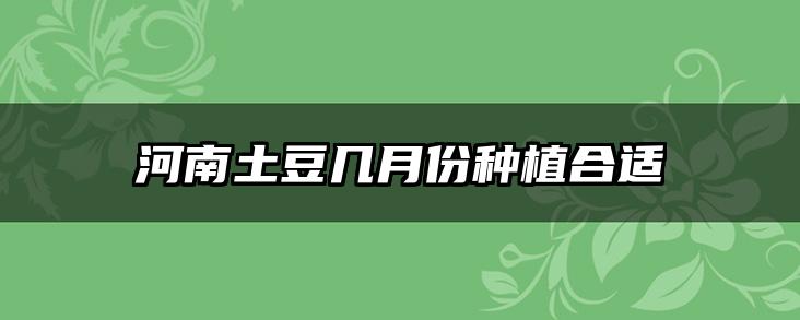 河南土豆几月份种植合适