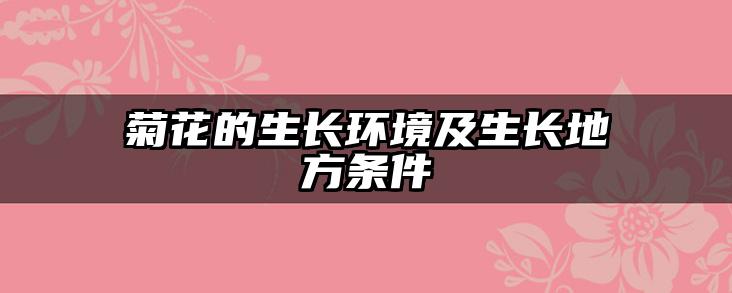 菊花的生长环境及生长地方条件