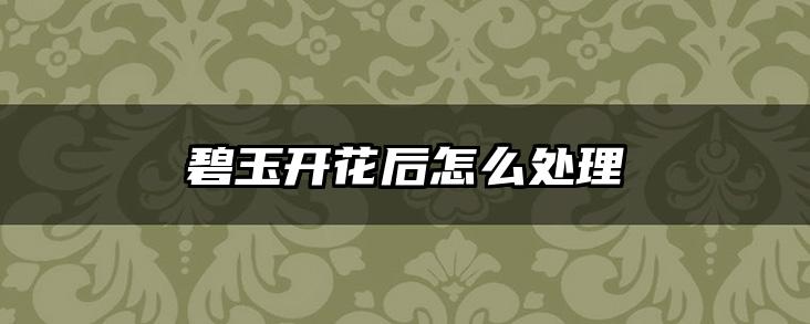碧玉开花后怎么处理