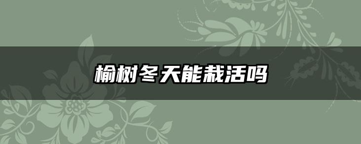 榆树冬天能栽活吗