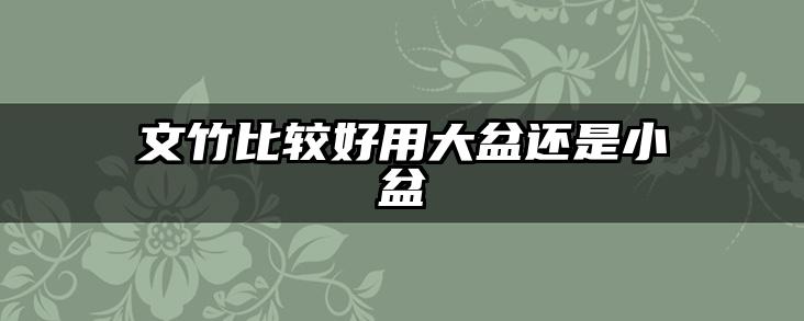 文竹比较好用大盆还是小盆