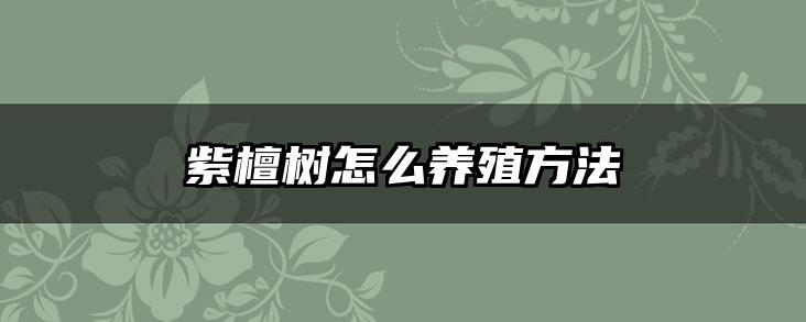 紫檀树怎么养殖方法