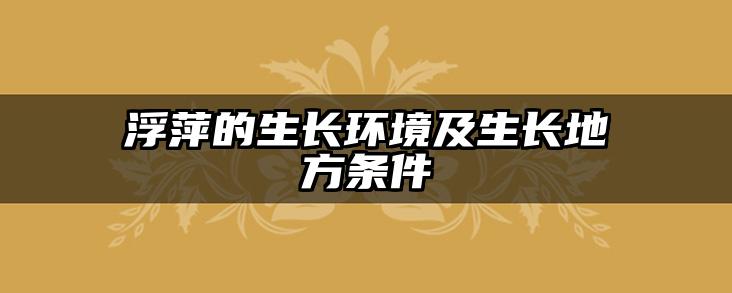 浮萍的生长环境及生长地方条件