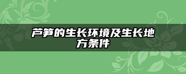 芦笋的生长环境及生长地方条件