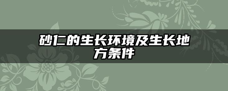 砂仁的生长环境及生长地方条件