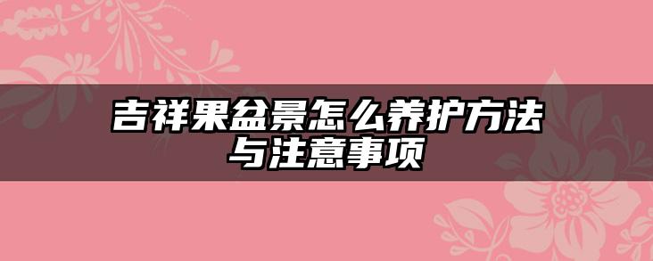 吉祥果盆景怎么养护方法与注意事项