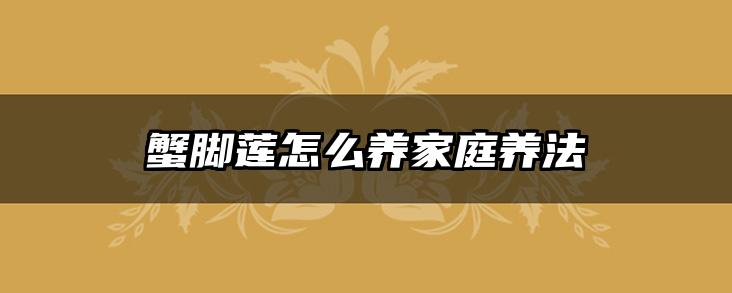 蟹脚莲怎么养家庭养法