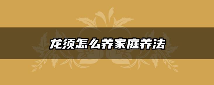 龙须怎么养家庭养法