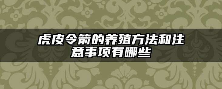 虎皮令箭的养殖方法和注意事项有哪些